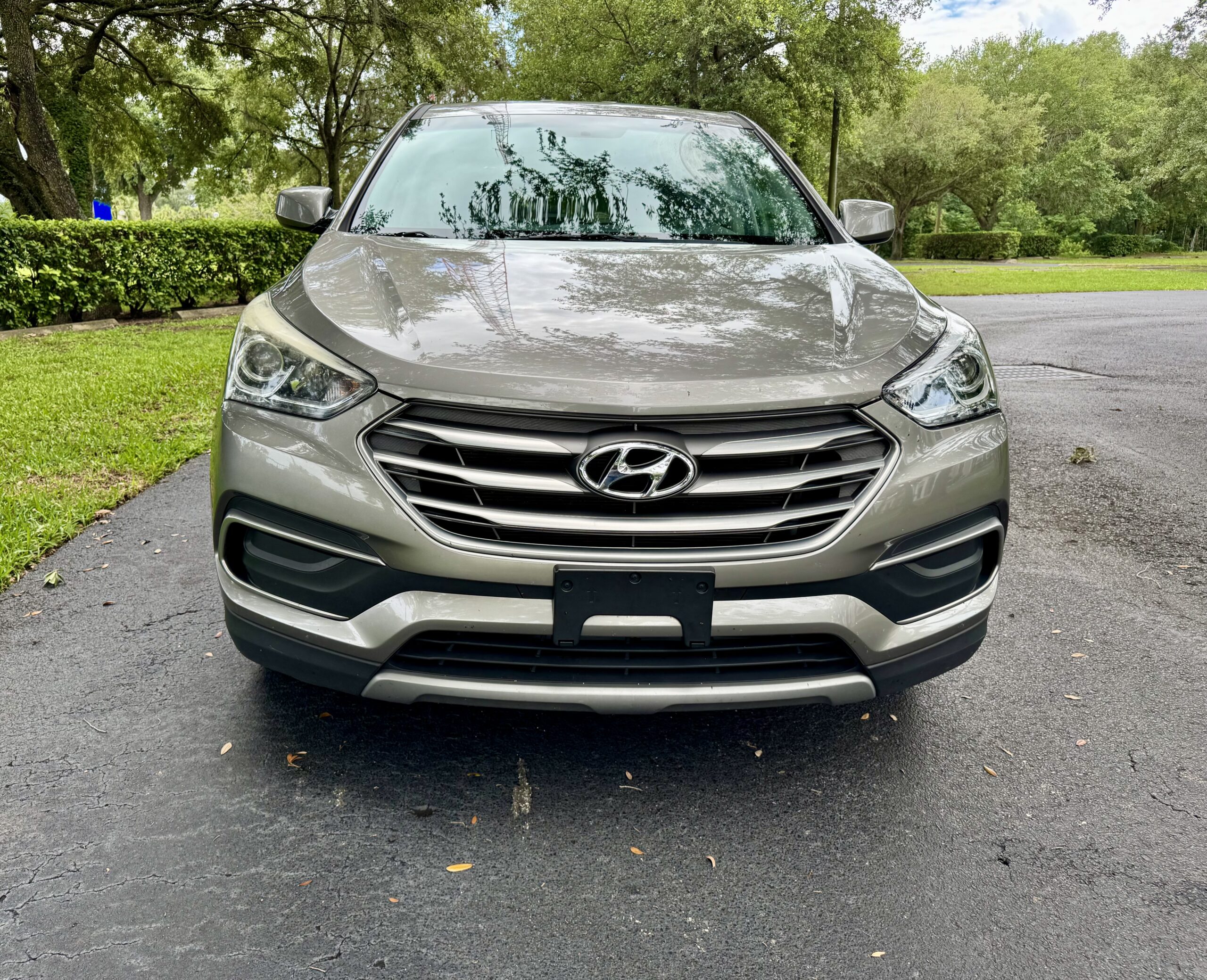 
								2017 Hyundai Santa FE Sport full									